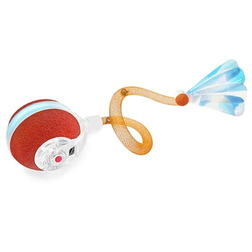Best Cat Toys for Bored Cats