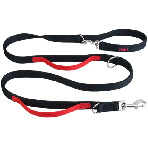 The 10 Best Leash for Walking a Dog That Pulls