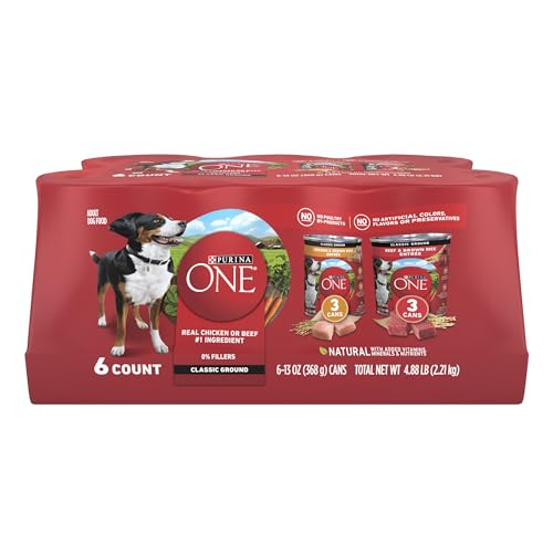 The 10 Best Affordable Wet Dog Food