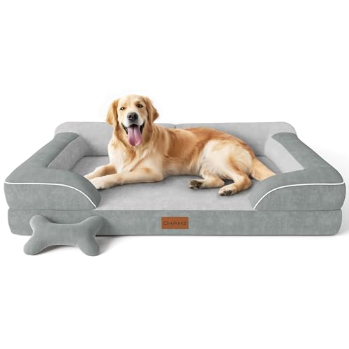 The 10 Best Cooling Dog Beds for Large Dogs 2025