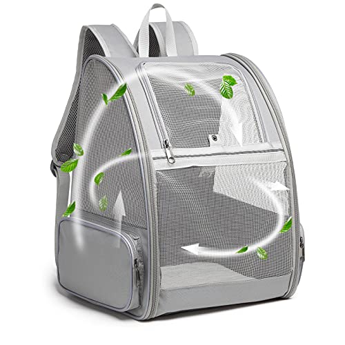 The 10 Best Dog Backpack Carriers for Hiking 2025