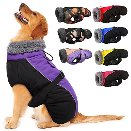 The 10 Best Dog Gear for New York Winter 2025
