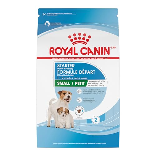 The 10 Best Dry Dog Food for Pregnant Dogs 2025