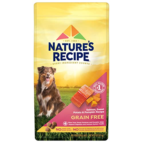 The 10 Best Salmon Dry Dog Food Brands 2025
