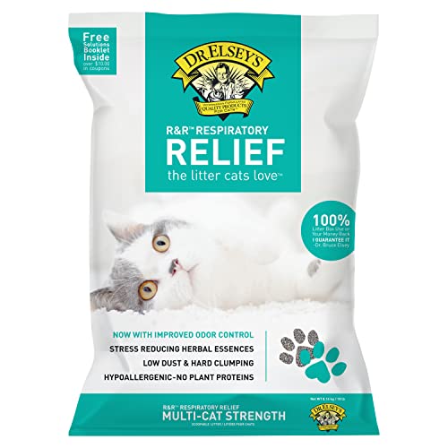 The 9 Best Cat Litter for Cats With Asthma