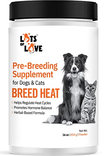 The 9 Best Dog Food for Breeding Females