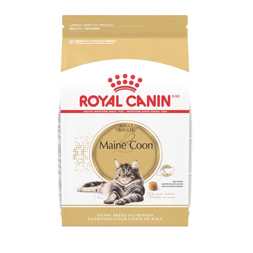 The Top 10 Best Cat Food for Maine Coon