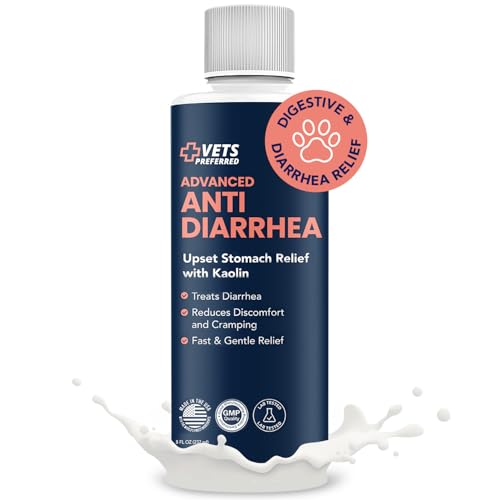 What is the Best Food for a Dog With Diarrhea?