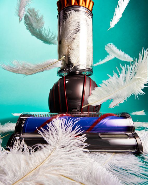 What Vacuum is Best for Dog Hair
