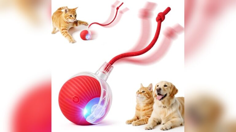 7 Best Interactive Rolling Ball for Pets