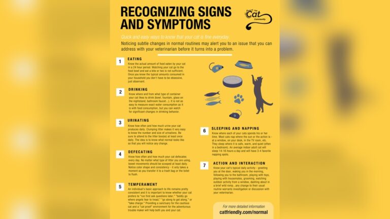 How Often Should Cats Go to the Bathroom