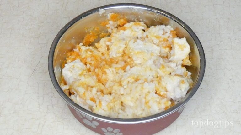 How to Boil Chicken for Dogs Upset Stomach