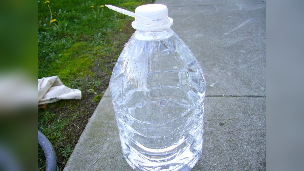 How to Keep Dogs from Pooping in Your Yard