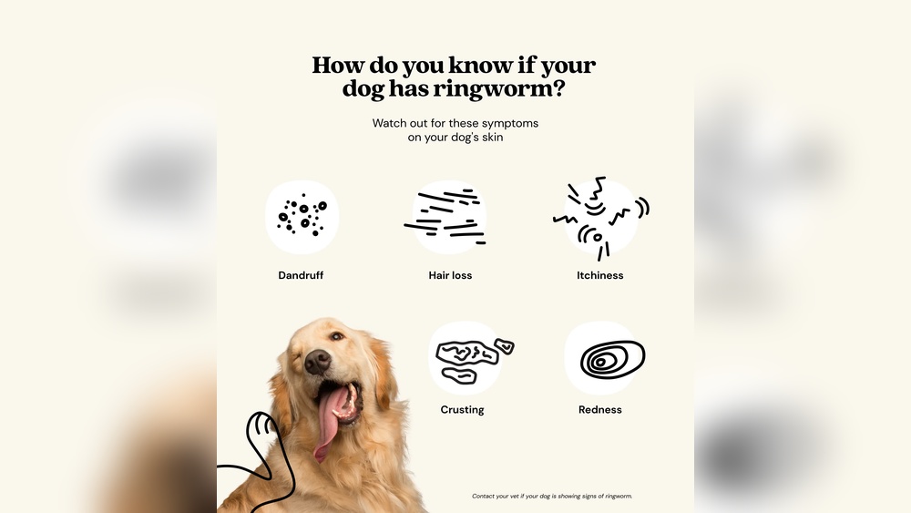 How to Tell If Dog Has Ringworm at Home