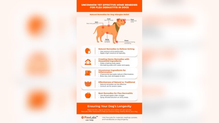 How to Treat Flea Allergy Dermatitis in Dogs at Home