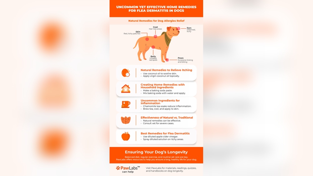 How to Treat Flea Allergy Dermatitis in Dogs at Home