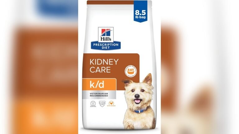 Best Diet for Dogs With Kidney Disease