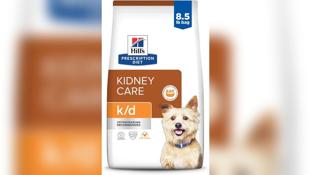 Best Diet for Dogs With Kidney Disease