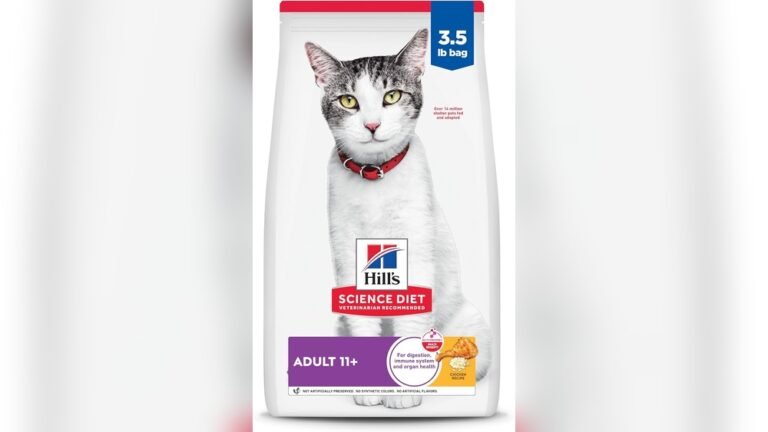 Best Dry Cat Food for Older Cats
