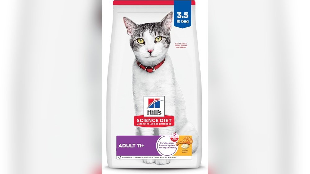 Best Dry Cat Food for Older Cats