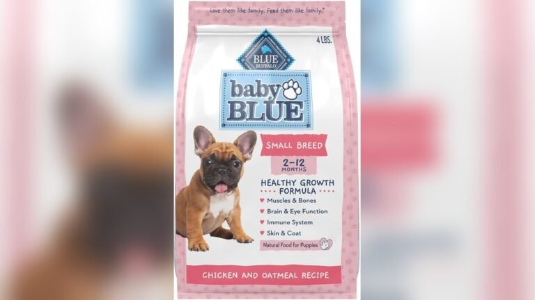 Best Puppy Food for Small Dog Breeds