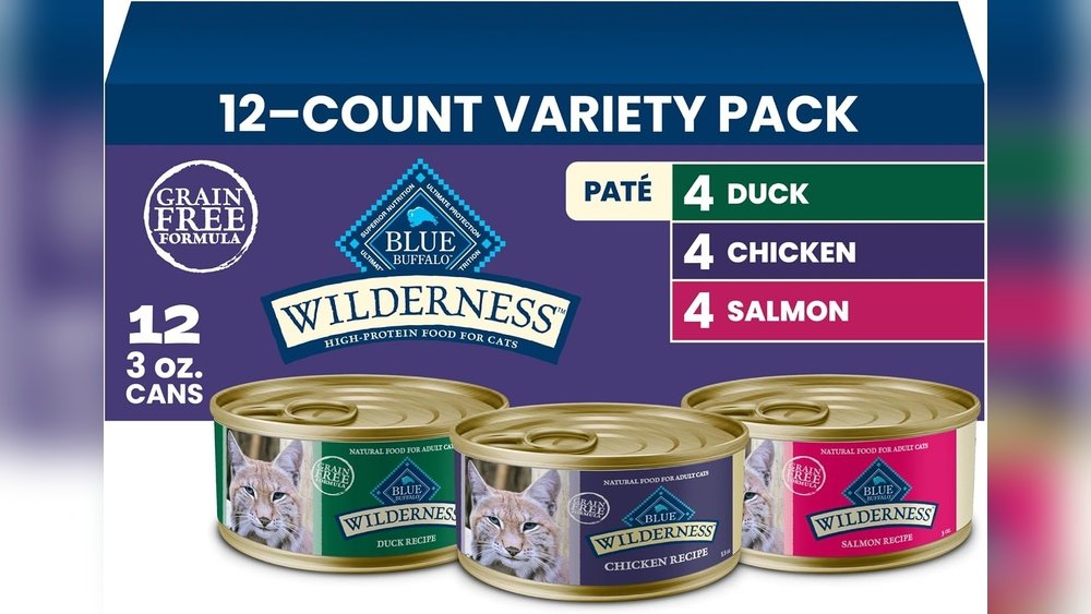 Best Wet Food for Diabetic Cat
