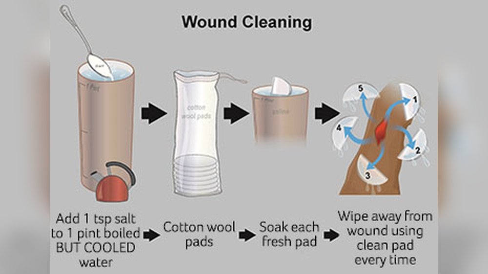 How to Clean a Dog Wound on Paw