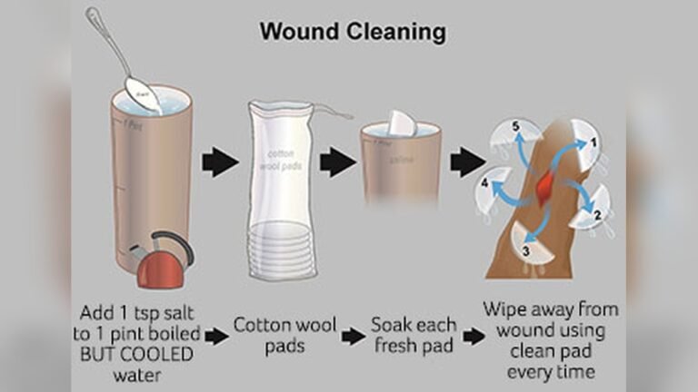 How to Clean Cut on Dog Paw