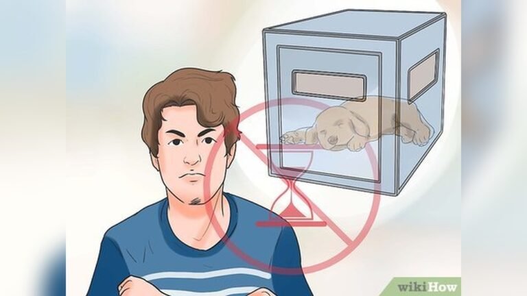How to Stop Dogs Crying When Left Alone