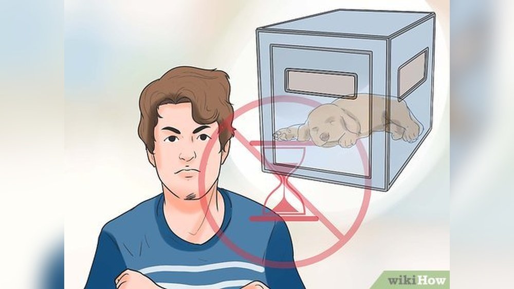 How to Stop Dogs Crying When Left Alone